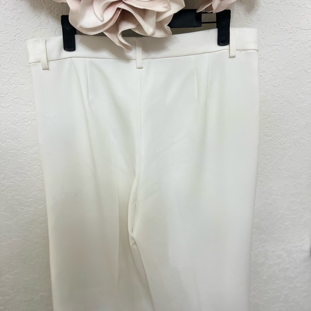 Zara NWT pants